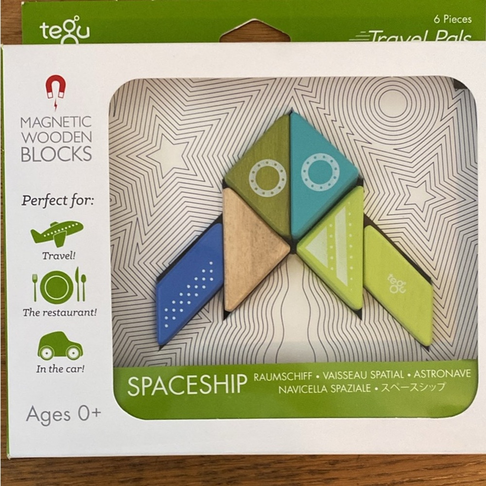 EUC Tegu magnetic blocks travel buddy